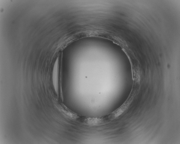 X0000077400766200611101820