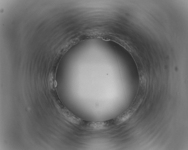 X0000077400767200611101820