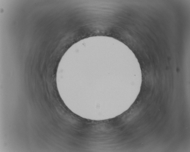 X0000077400769200611101819