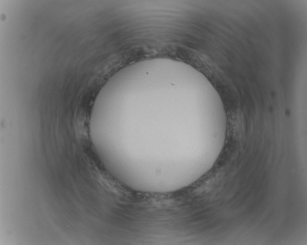 X0000077400770200611101819