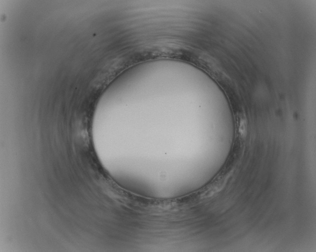 X0000077400771200611101819