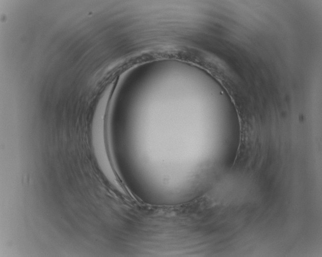 X0000077400773200611101819