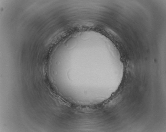 X0000077400774200611101819