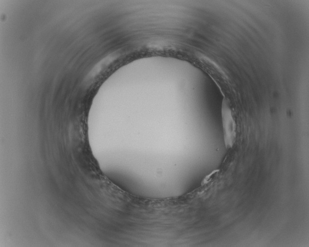 X0000077400776200611101819