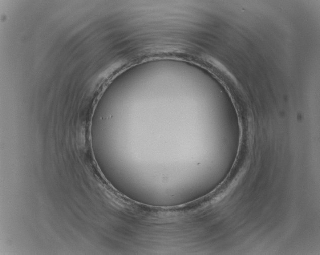 X0000077400777200611101819