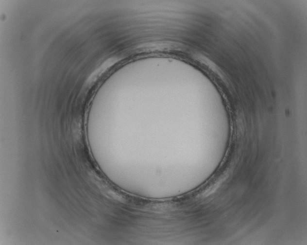 X0000077400778200611101819