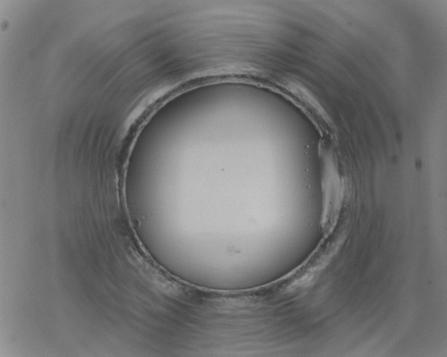 X0000077400781200611101819