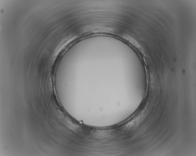 X0000077400782200611101819