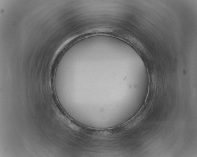 X0000077400784200611101819