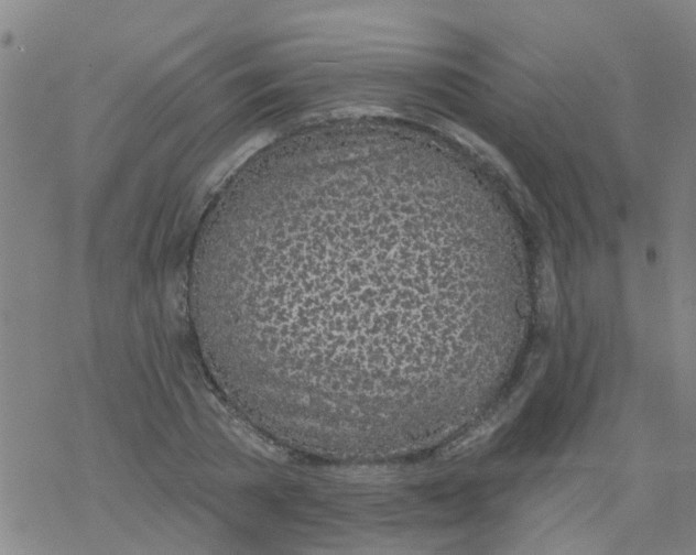 X0000077400785200611101819