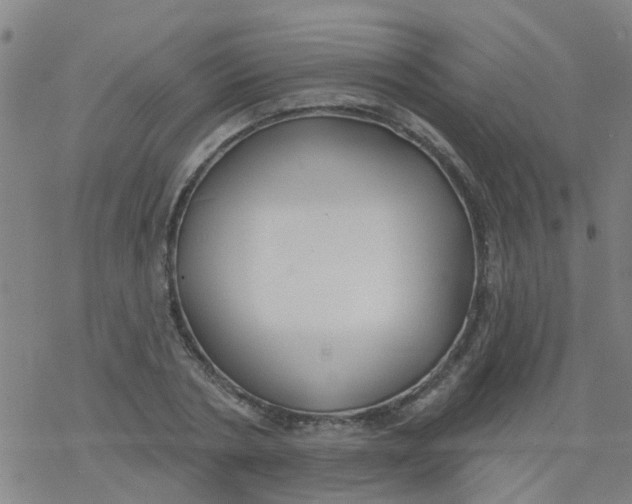 X0000077400786200611101819