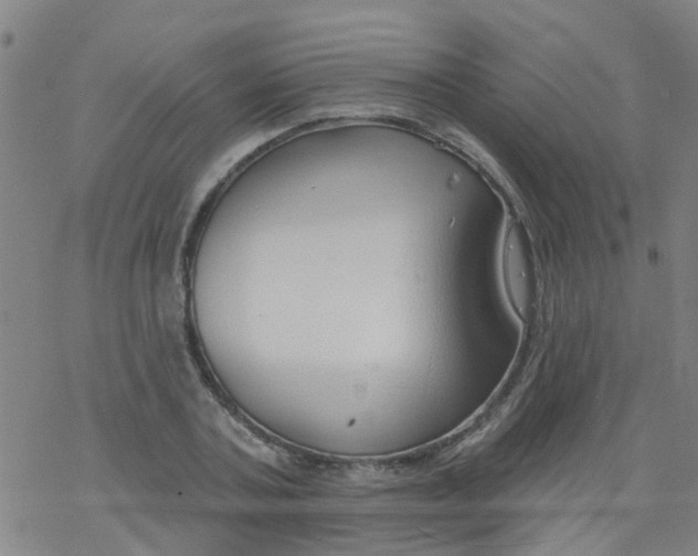 X0000077400787200611101819