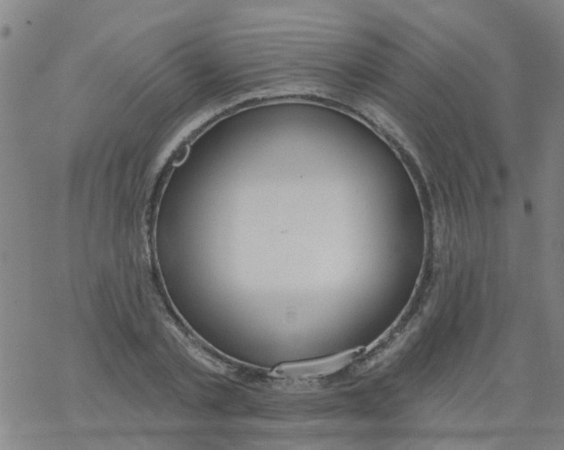 X0000077400789200611101819