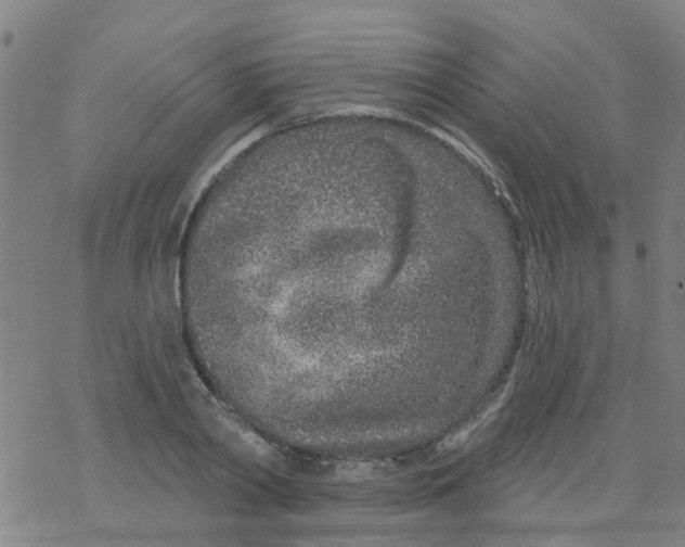 X0000077400790200611101819