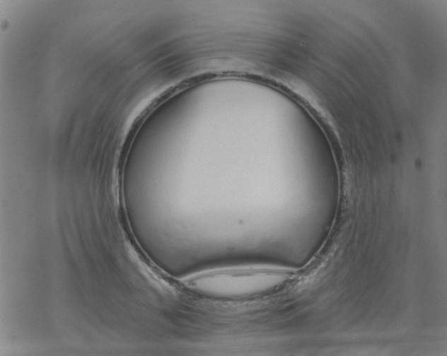 X0000077400791200611101819