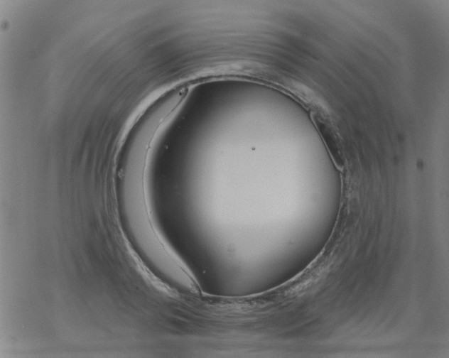 X0000077400792200611101819