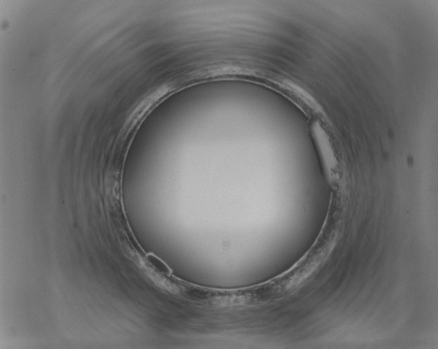 X0000077400793200611101819