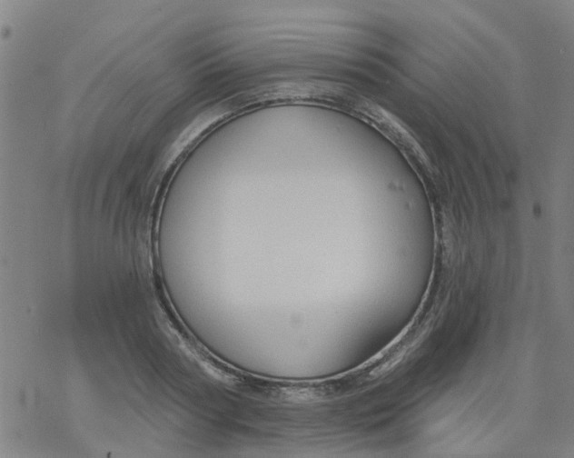 X0000077400794200611101819