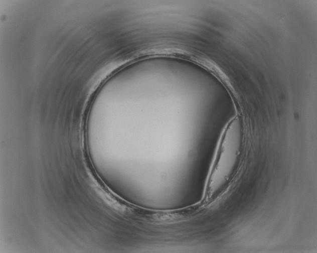 X0000077400795200611101819