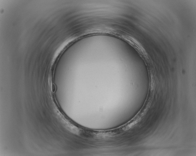 X0000077400796200611101819