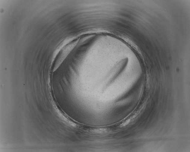 X0000077400797200611101819