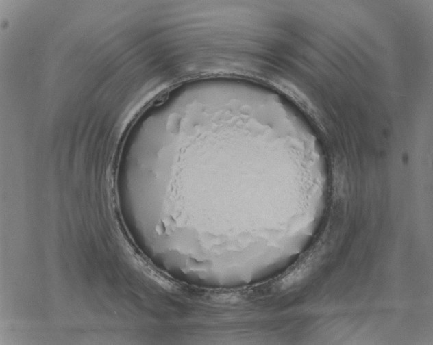 X0000077400798200611101819