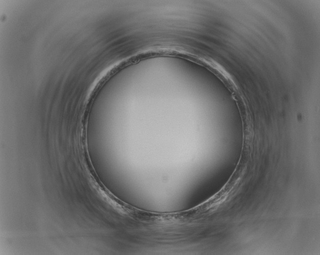 X0000077400799200611101819