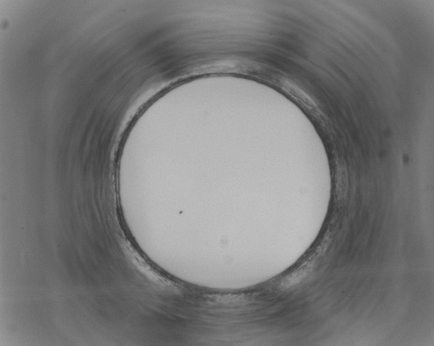 X0000077400800200611101819