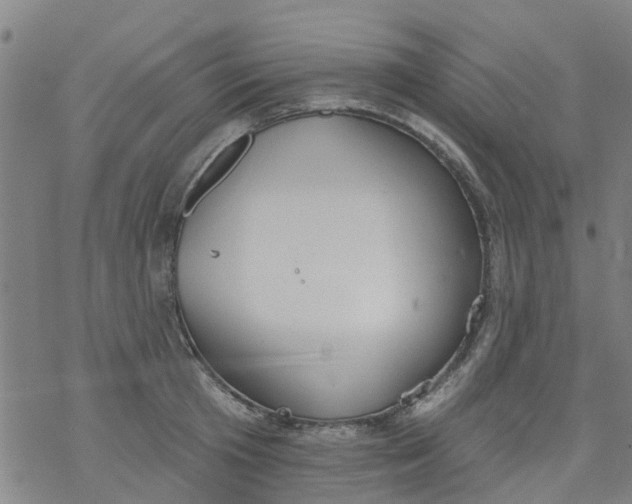 X0000077400801200611101819