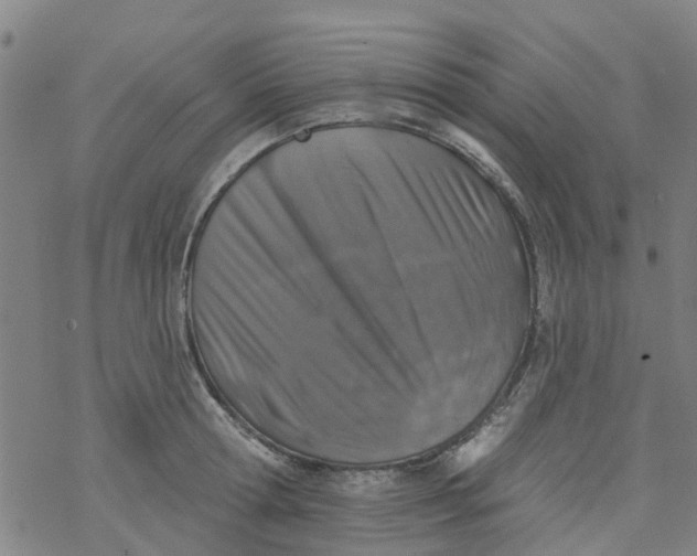 X0000077400802200611101819