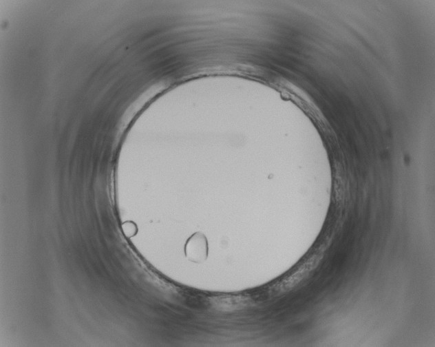 X0000077400804200611101819