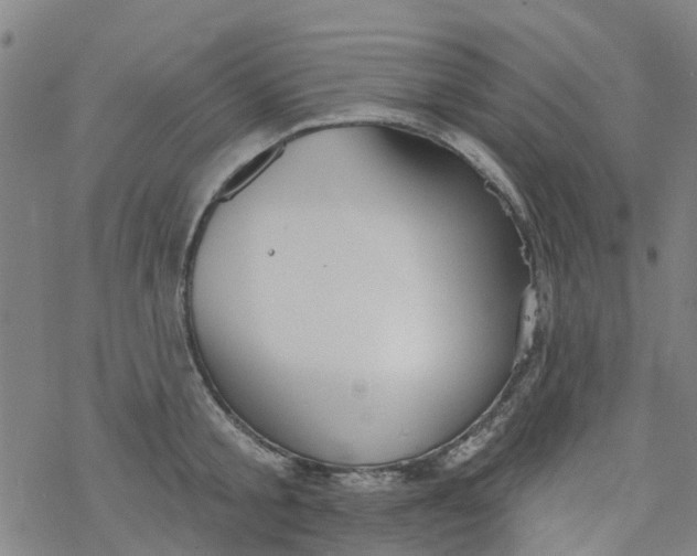 X0000077400805200611101818