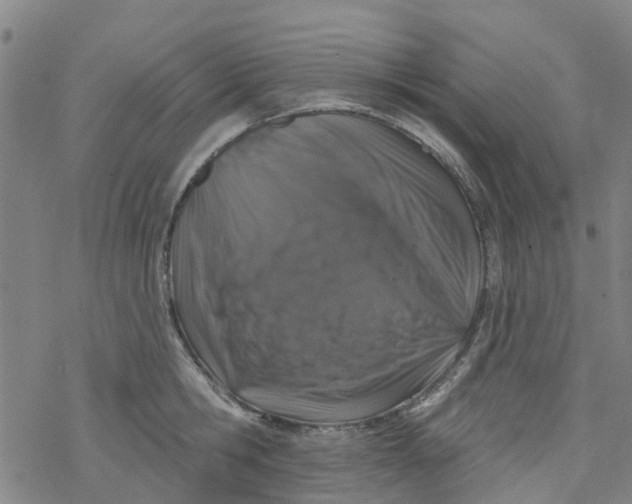 X0000077400806200611101818