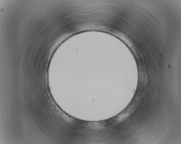 X0000077400807200611101818