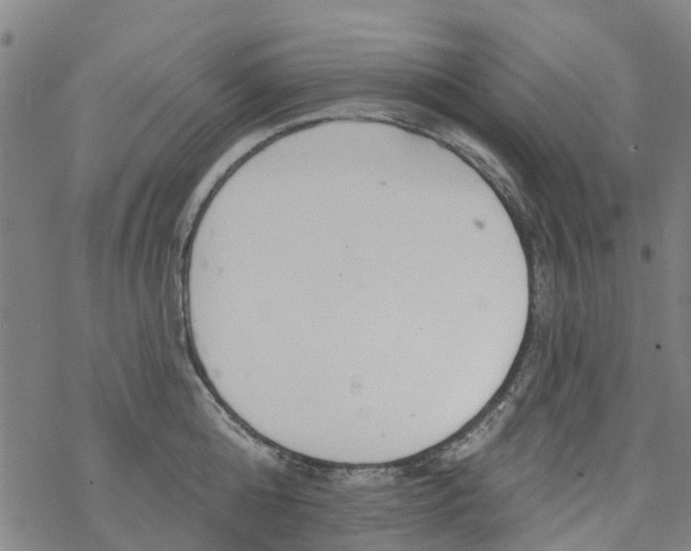 X0000077400808200611101818