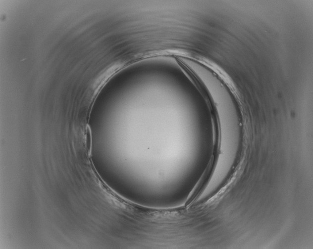 X0000077400809200611101818