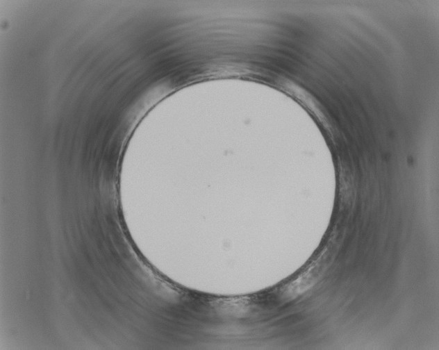 X0000077400810200611101818