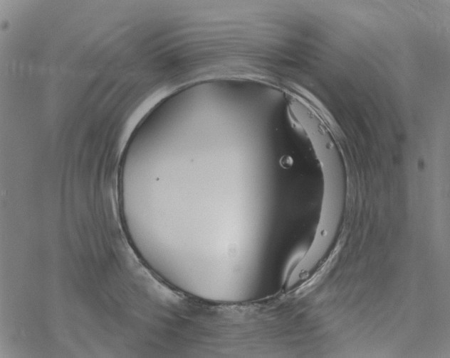 X0000077400812200611101818