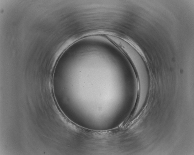 X0000077400813200611101818