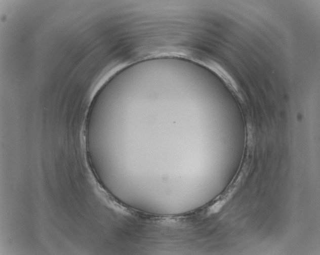 X0000077400814200611101818