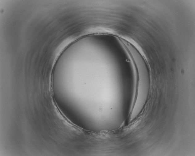 X0000077400815200611101818