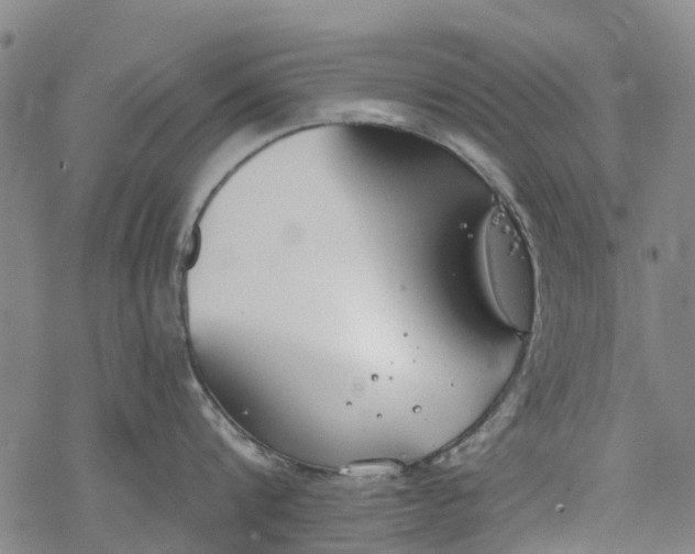 X0000077400816200611101818