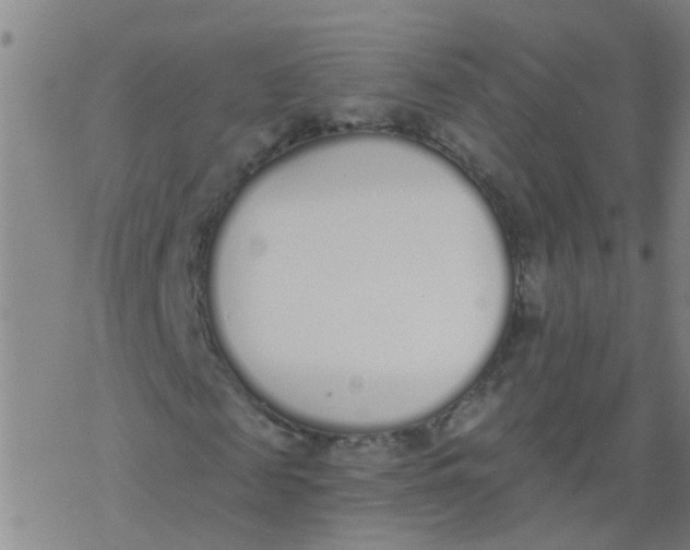 X0000077400817200611101818