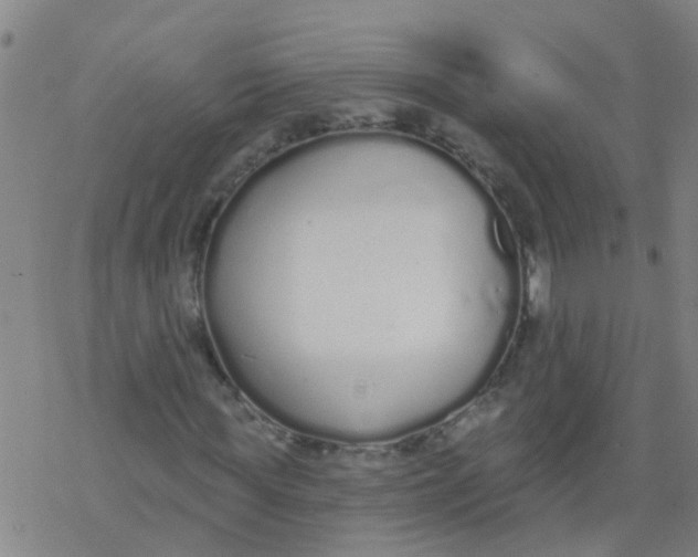 X0000077400819200611101818