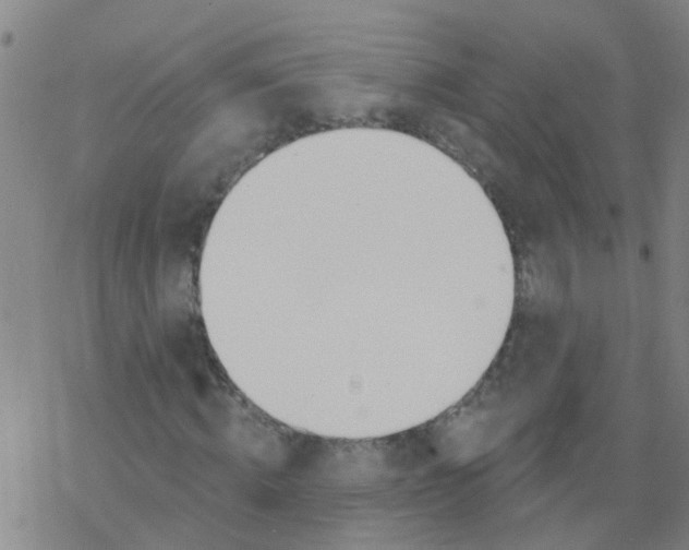 X0000077400820200611101818