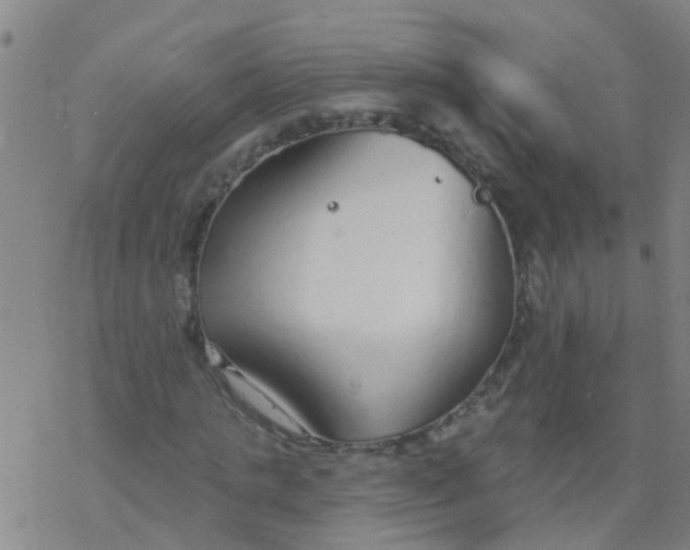 X0000077400821200611101818