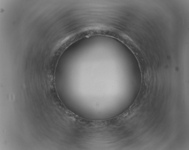 X0000077400822200611101818