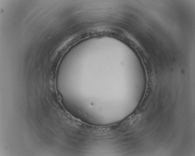 X0000077400823200611101818