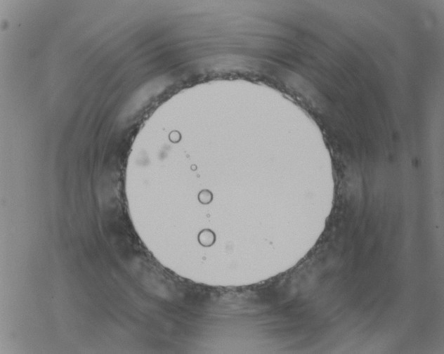 X0000077400824200611101818