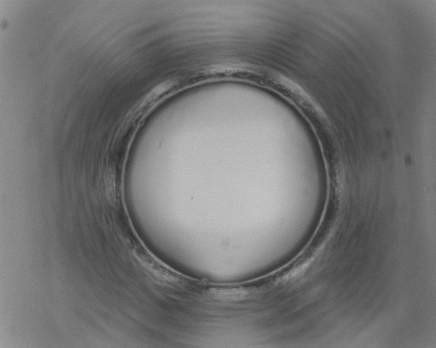 X0000077400825200611101818